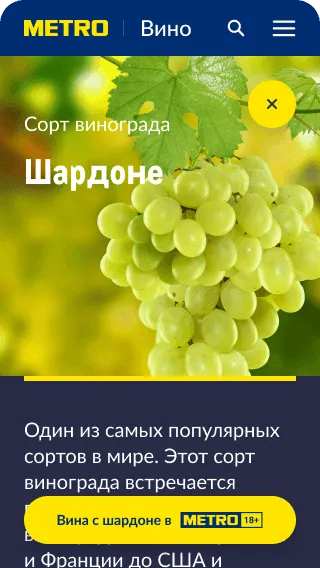 Винный гид METRO Gallery Slide 4