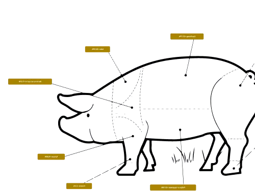 Svinoplan