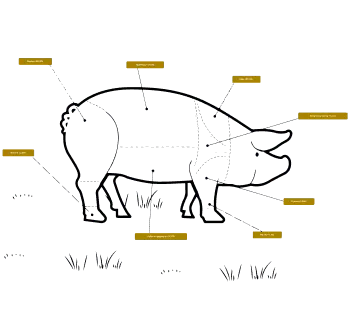 Svinoplan